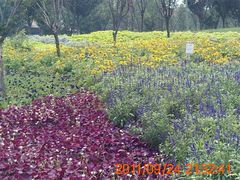 android_upload_pic-西安世博园