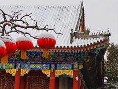 -颐和园