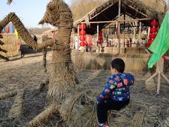 -长兴太湖图影湿地文化园