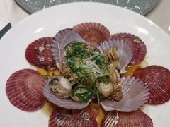 -海派美食·家宴海鲜青岛菜·石锅鲽鱼头(东方城店)