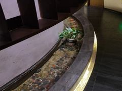 -金水养生(华新店)