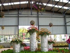 菊花展-三圣花乡旅游区