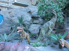 -国家自然博物馆