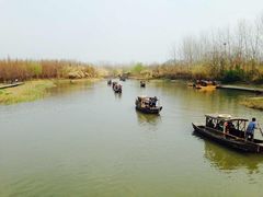 -溱湖国家湿地公园