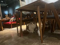 -咖法森林·咖啡  酒吧(天河店)