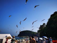 -棒棰岛宾馆景区