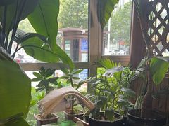 -草原塞蛮羊火锅城(港湾店)