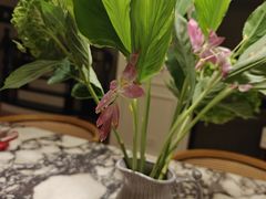 -COVA(新天地Xintiandi店)