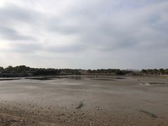 -上海都市菜园