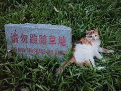 -晓港公园