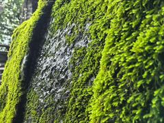 -安溪清水岩