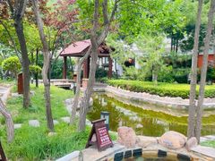 -国御温泉度假小镇