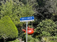 -十八棵（老龙井）御茶园(老龙井店)