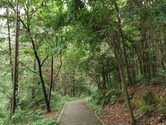 -青龙山国家森林公园