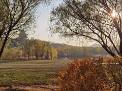 -永定河休闲森林公园