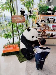 -IMON·HANSA潮玩玩偶毛绒玩具(通州万象汇店)