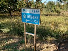 -东郊湿地公园