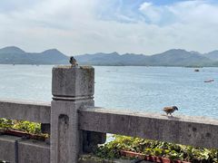 -湖畔居茶楼(湖滨店)