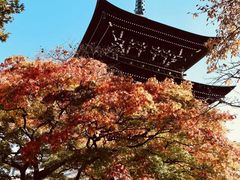 -医王山·飞騨国分寺