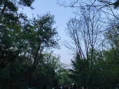 -大蜀山国家森林公园