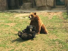 -无锡动物园·太湖欢乐园
