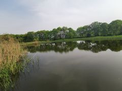 -西湖风景区-江洋畈生态公园