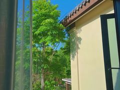 -焦岗湖旅游度假区
