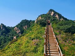 -大岭沟猕猴桃谷风景区