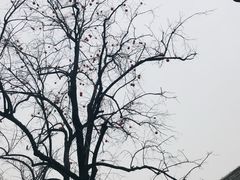 -雍和宫
