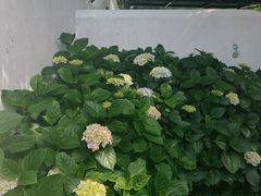 -几静cafe(基湖店)