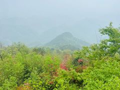 -十九峰景区-倒脱靴