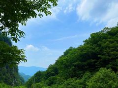 -牛背梁国家森林公园