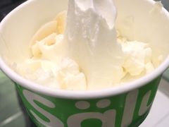 -Salud撒露欧洲冻酸奶(蓝色港湾店)