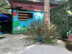-史努比缤纷世界