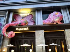 -帕帕拉兹宠物(亚洲旗舰店)