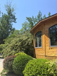 -禧园Joyous Garden ·宴会厅(禧园店)