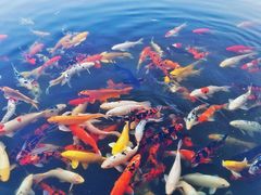 -西安关中民俗艺术博物院