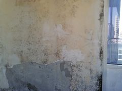 -菲迪科尔墙衣(集美家居定慧桥店)