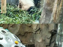 -青藏高原野生动物园