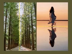 -CGWANG王氏教育(上海校区)