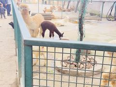 -宁波野生动物园