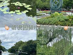 -西湖游船