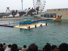 -秦皇岛乐岛海洋王国