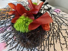 -迦南苑·新派青岛菜·生日纪念日主题餐厅