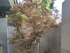 -王府茶楼茶宴·创意菜(朝阳公园店)