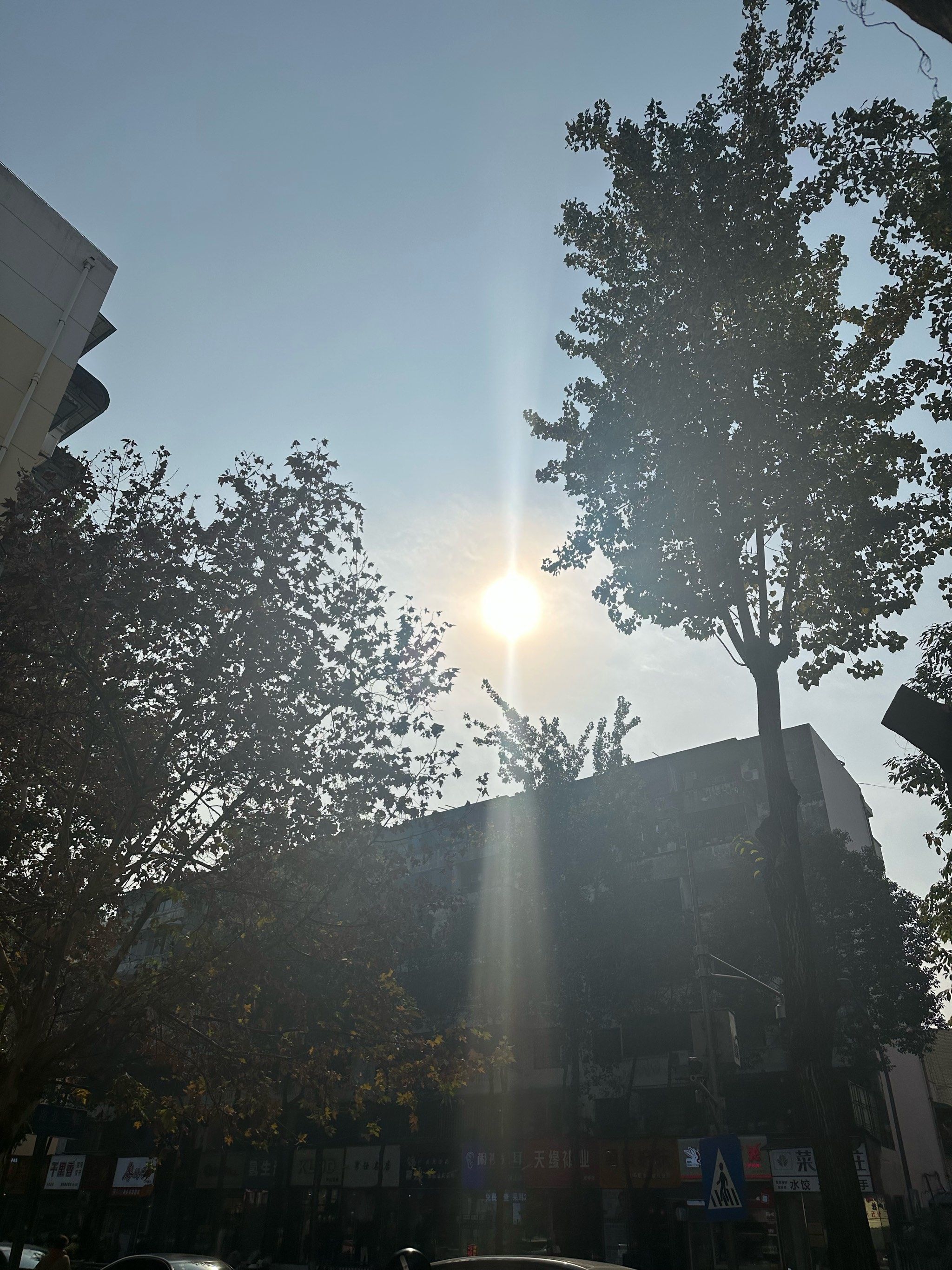 中午太阳正晒,本来应该滚回去收拾收拾的,上午已经放松,舍不得,那么