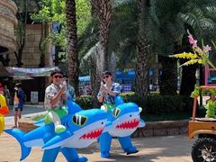 -武汉玛雅海滩水公园