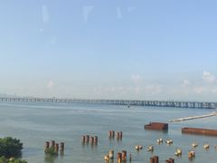 -宝安西湾红树林湿地公园