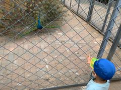 -长白岛森林公园