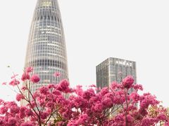 -深圳人才公园